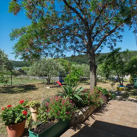 Apartman Saric *